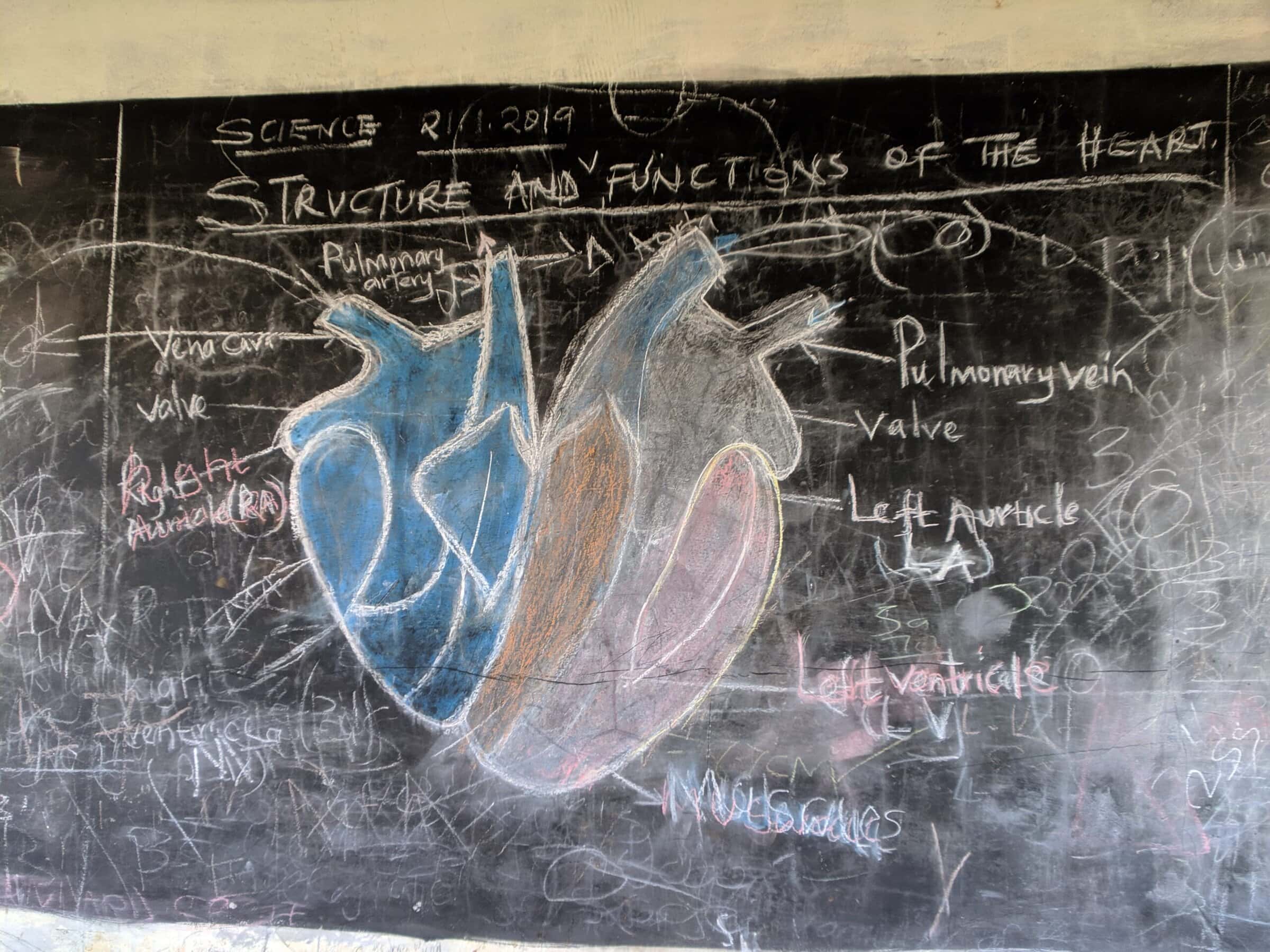 Teaching kids about how the heart works